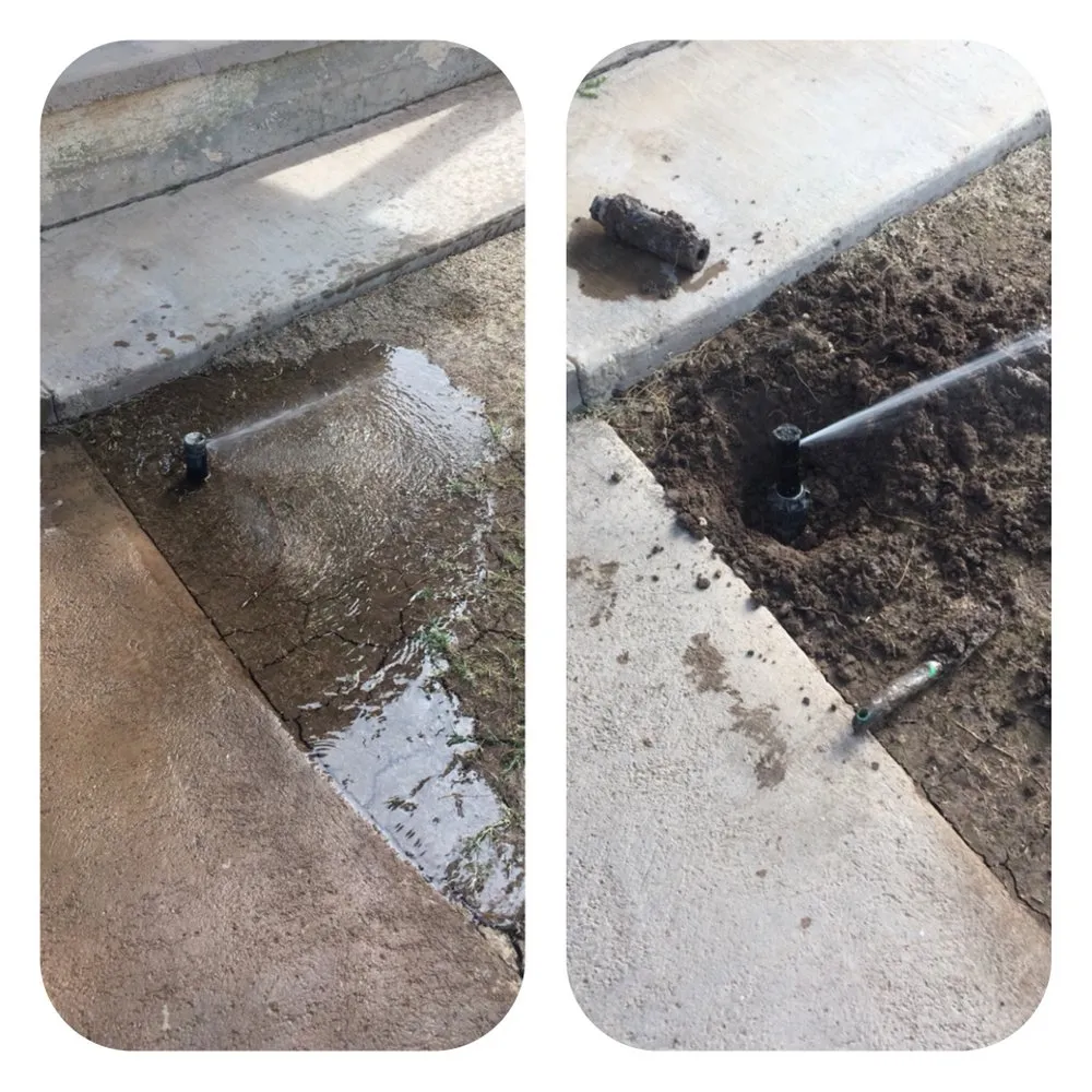 Top-rated outdoor landscaping for residential properties in Imperial, CA by Wild West Landscaping