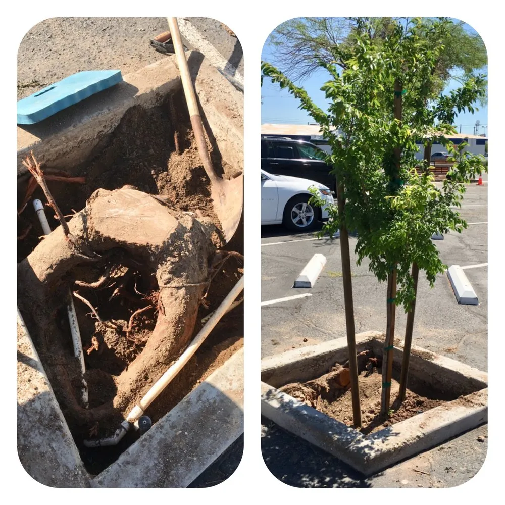 Custom lawn care service experts serving Imperial, CA - Wild West Landscaping