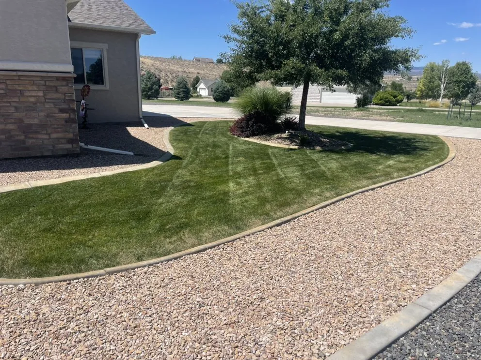 Reliable yard cleanup service in Grand Junction, CO by Wild West Lawn Care