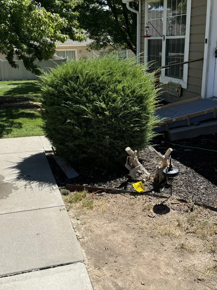 Local lawn care service in Grand Junction, CO - Wild West Lawn Care