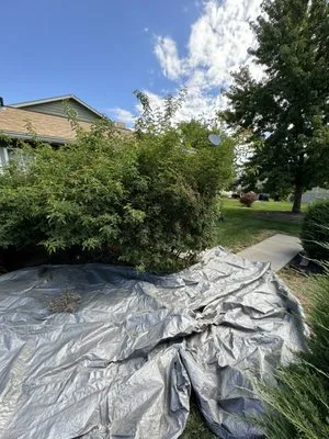 Wild West Lawn Care Logo