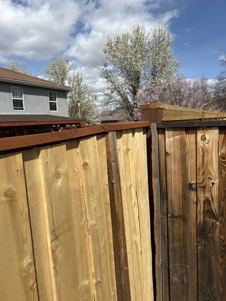 Top-rated yard maintenance in Reno, NV by Wild West Yardcare