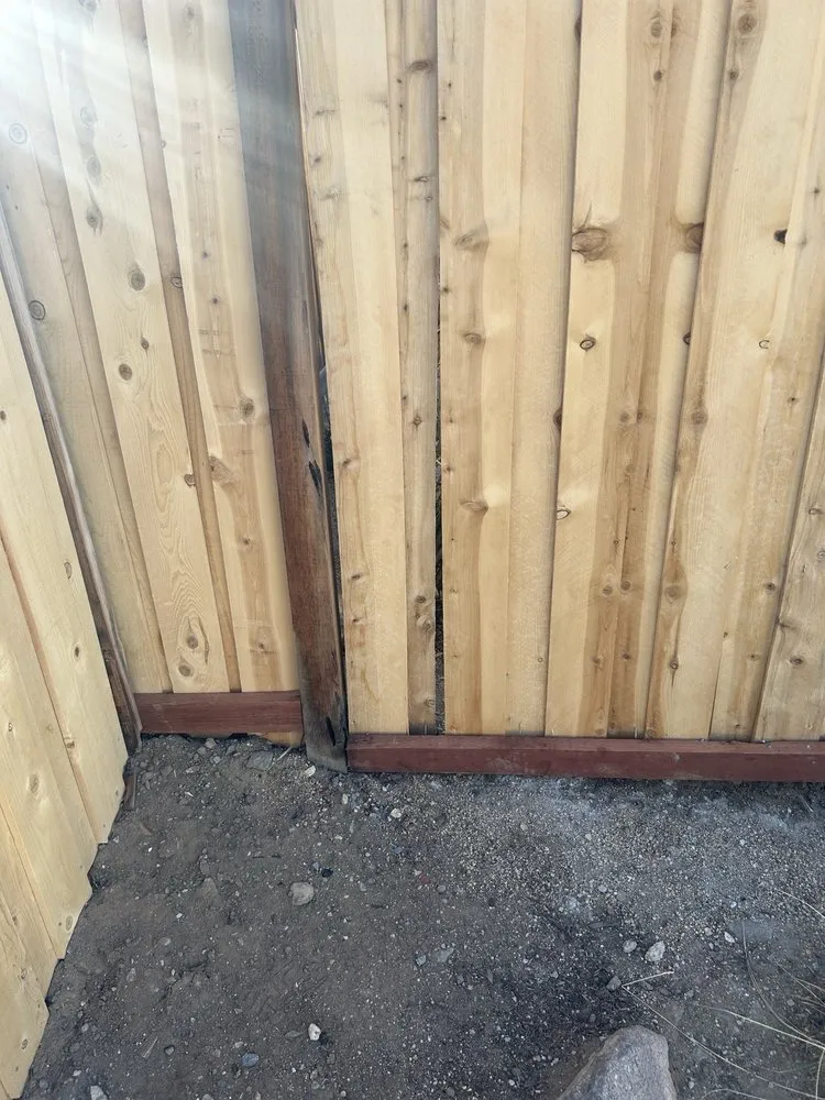 Reliable yard maintenance in Reno, NV - Wild West Yardcare