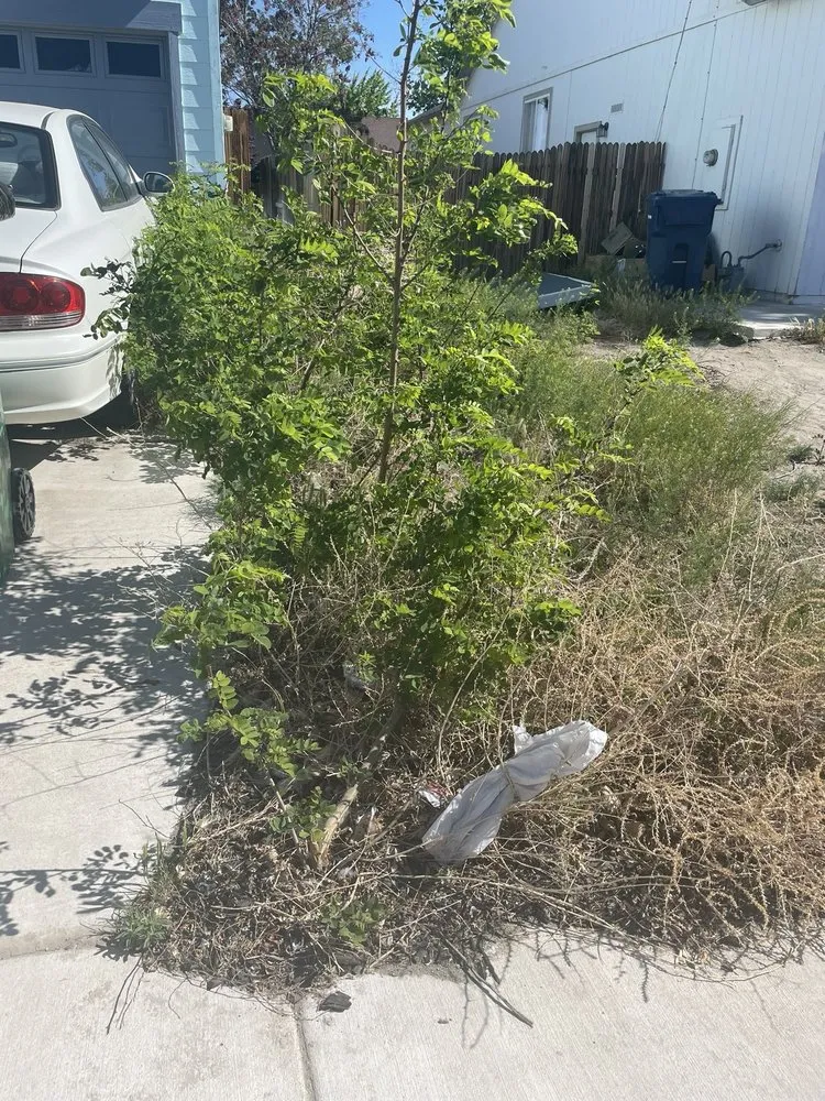 Reliable yard maintenance for year-round maintenance in Reno, NV by Wild West Yardcare