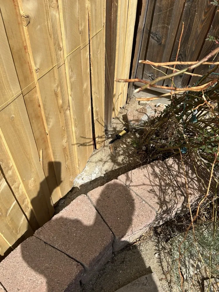 Reliable yard cleanup service in Reno, NV by Wild West Yardcare