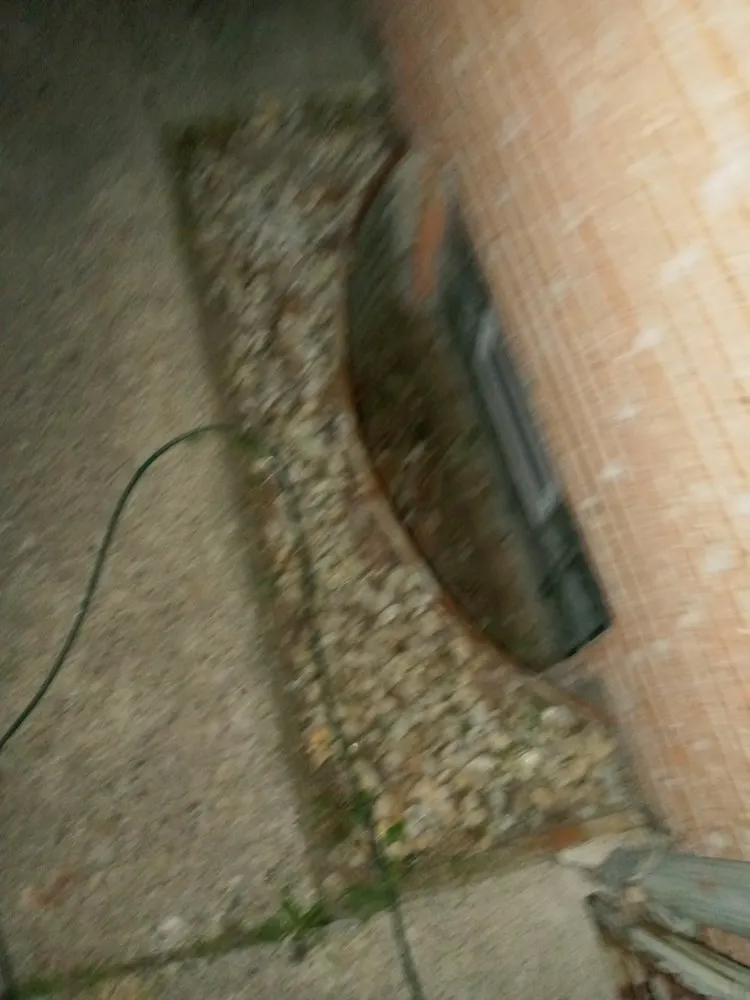 Trusted landscape installation for residential properties across Westland, MI - Wild Willy Total Lawn Care