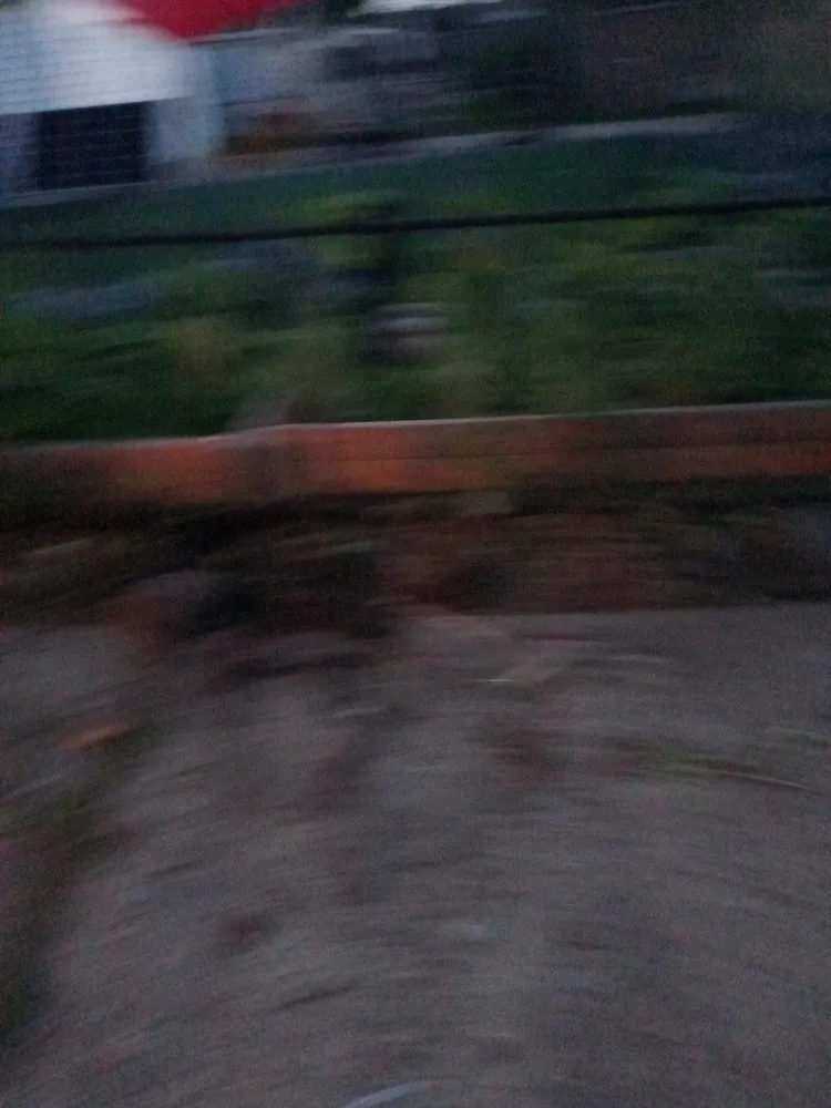 Affordable yard cleanup service experts serving Westland, MI - Wild Willy Total Lawn Care