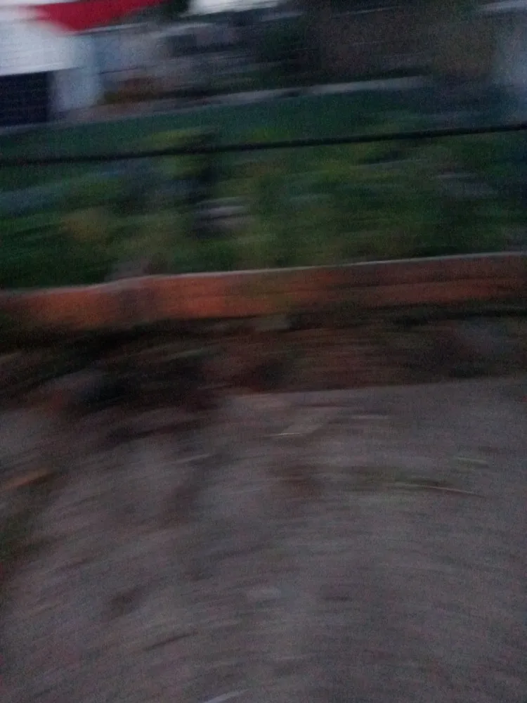 Local landscape design in Westland, MI - Wild Willy Total Lawn Care