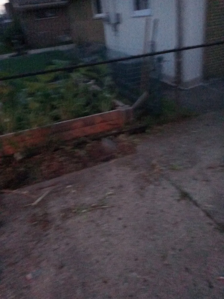 Trusted landscape design experts serving Westland, MI - Wild Willy Total Lawn Care