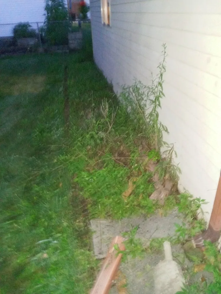 Trusted landscape installation experts serving Westland, MI - Wild Willy Total Lawn Care