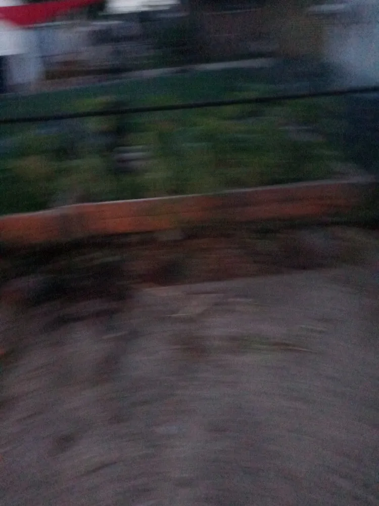 Affordable garden landscaping in Westland, MI by Wild Willy Total Lawn Care