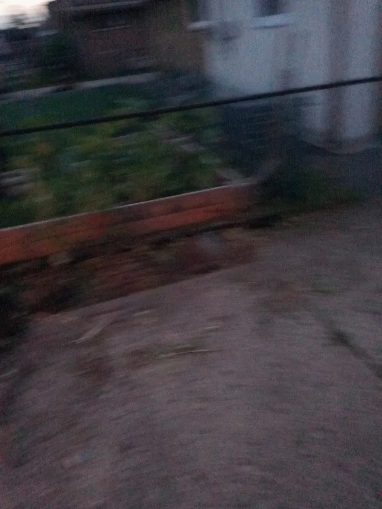 Expert residential landscaping in Westland, MI - Wild Willy Total Lawn Care