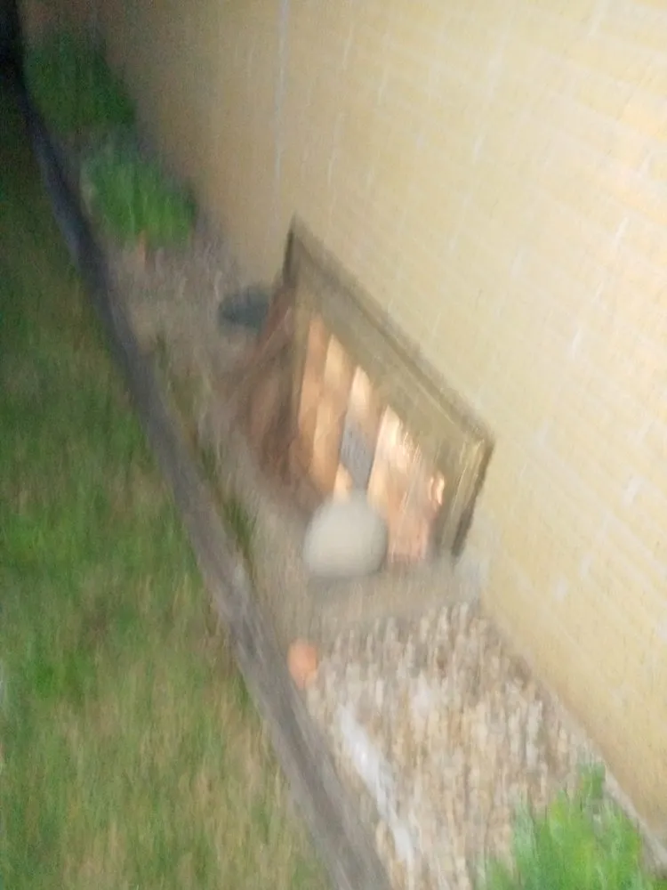 Trusted lawn care service for year-round maintenance in Westland, MI by Wild Willy Total Lawn Care