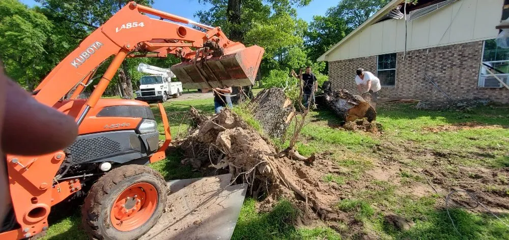 Custom garden landscaping experts serving Greenville, TX - Wild Wood Landscaping