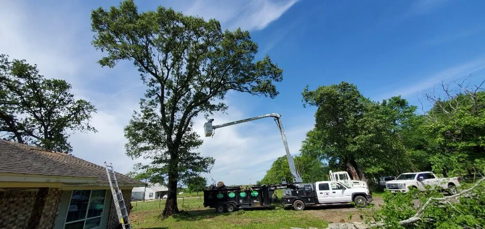 Expert lawn care service in Greenville, TX - Wild Wood Landscaping