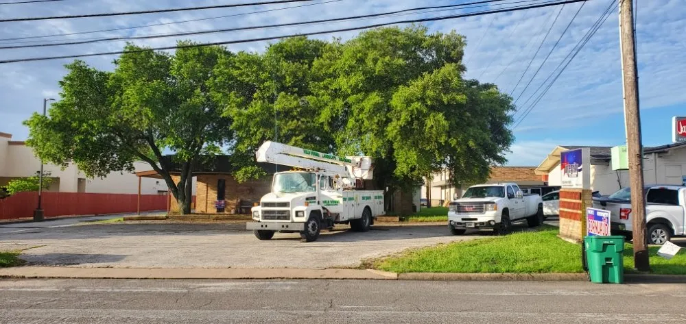 Affordable residential landscaping for outdoor upgrades in Greenville, TX by Wild Wood Landscaping