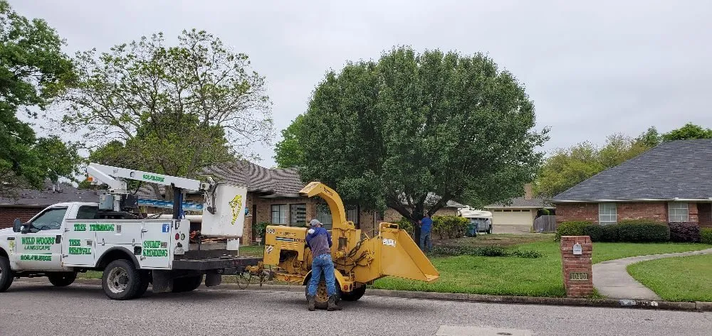 Trusted garden landscaping experts serving Greenville, TX - Wild Wood Landscaping