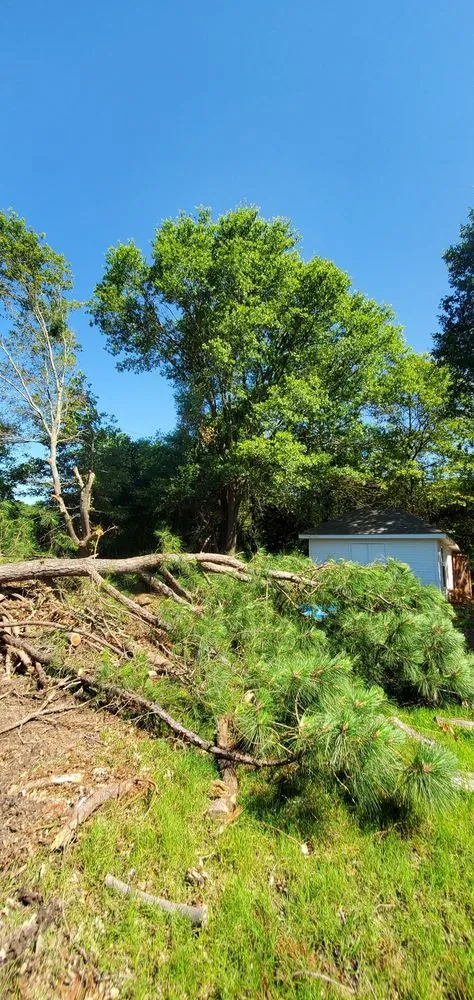 Custom yard maintenance for beautiful yards across Greenville, TX - Wild Wood Landscaping