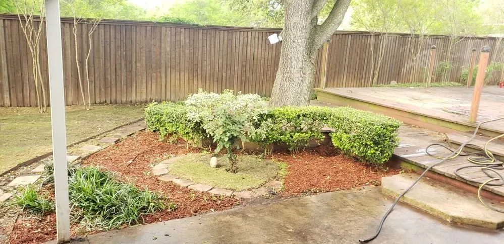 Expert lawn care service in Greenville, TX - Wild Wood Landscaping