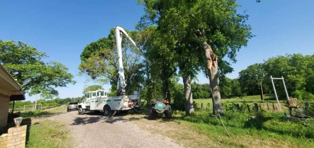 Expert outdoor landscaping for outdoor upgrades across Greenville, TX - Wild Wood Landscaping