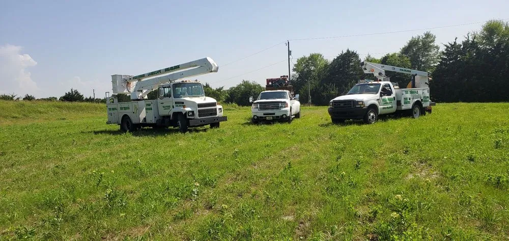 Local lawn mowing service in Greenville, TX by Wild Wood Landscaping