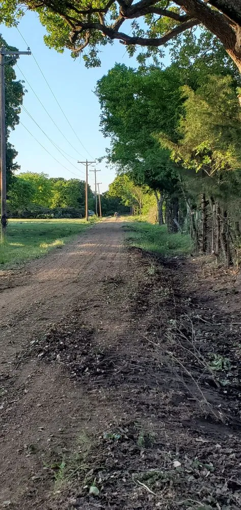 Custom yard maintenance near you in Greenville, TX by Wild Wood Landscaping