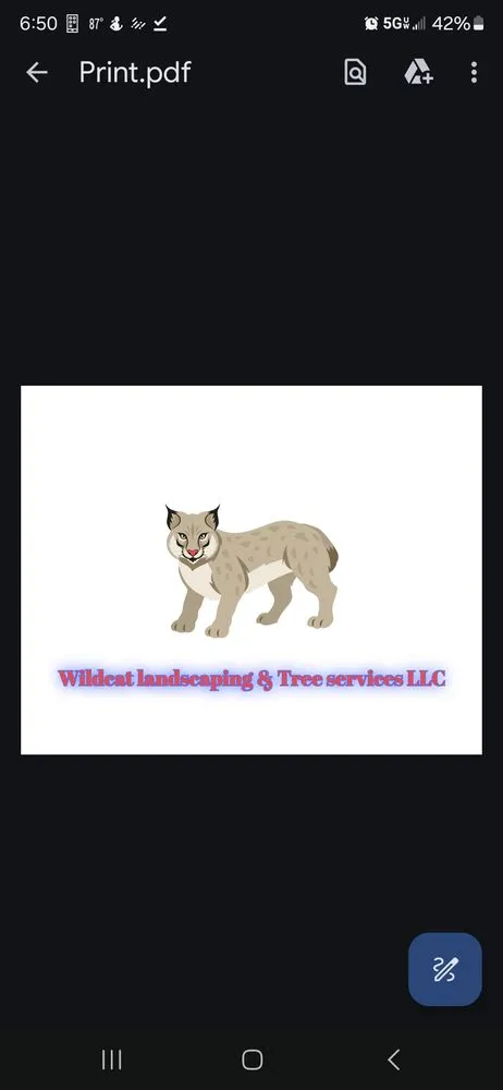 Reliable outdoor landscaping for year-round maintenance across Tucson, AZ - Wildcat Landscaping and Tree Services