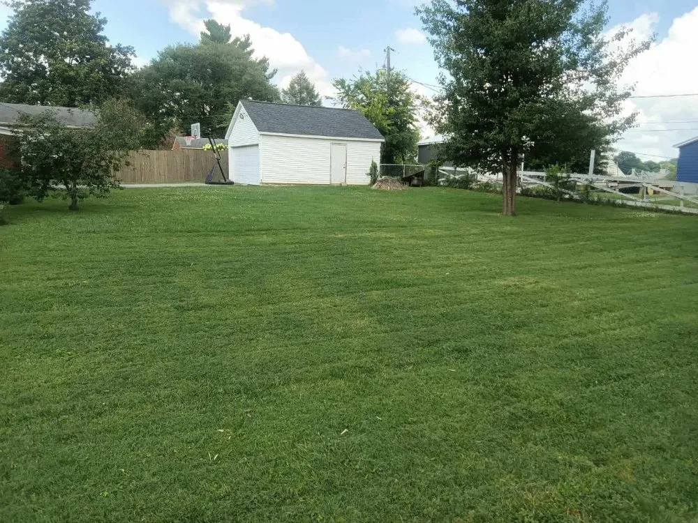 Expert yard cleanup service in Somerset, KY by Wildcat Landscaping