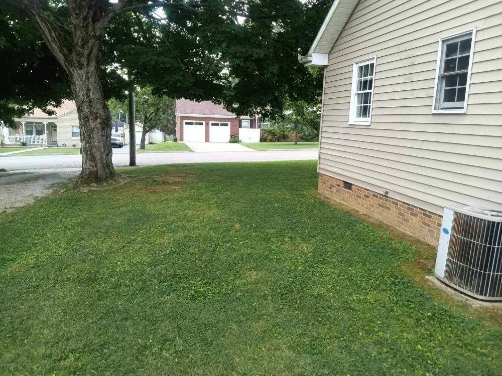 Trusted lawn mowing service with custom design in Somerset, KY by Wildcat Landscaping