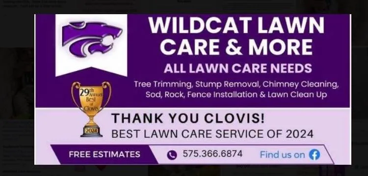 Affordable yard maintenance in Clovis, NM by Wildcat Lawn Care and More