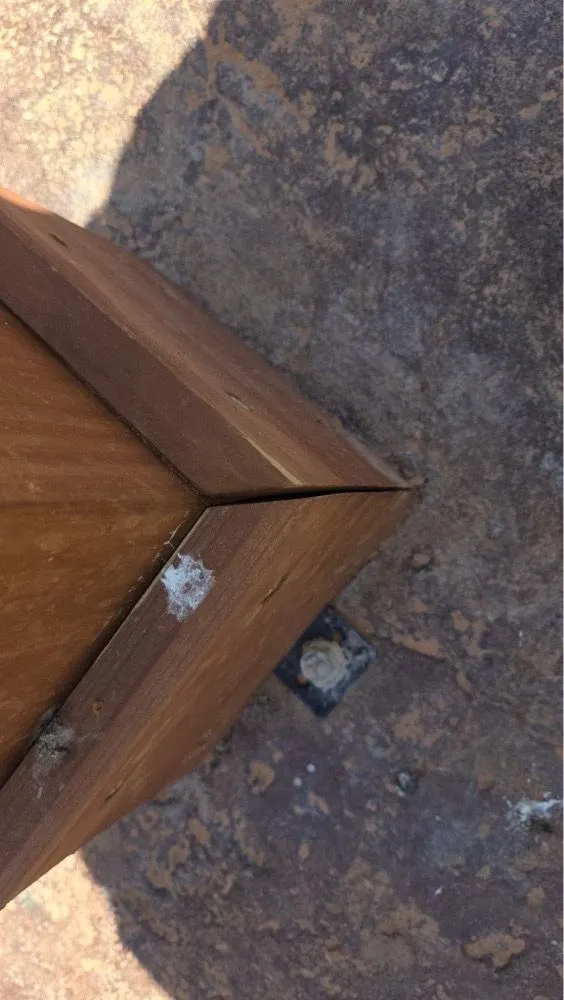 Top-rated lawn care service experts serving Clovis, NM - Wildcat Lawn Care and More