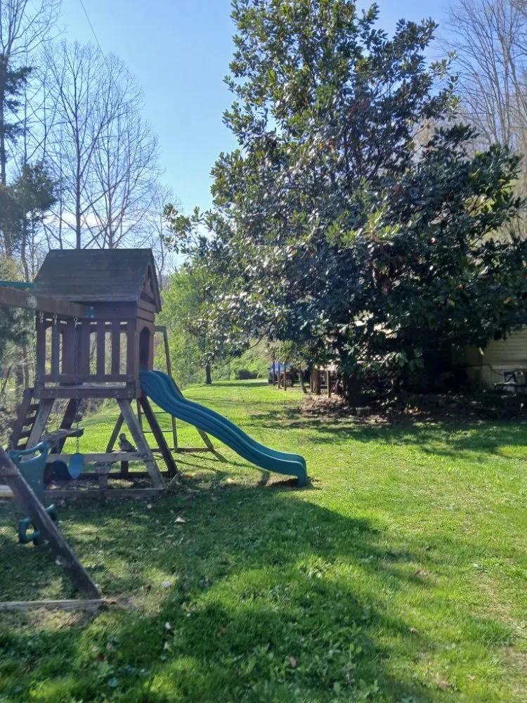 Local lawn mowing service experts serving Jackson, KY - Wildcat Lawn Management