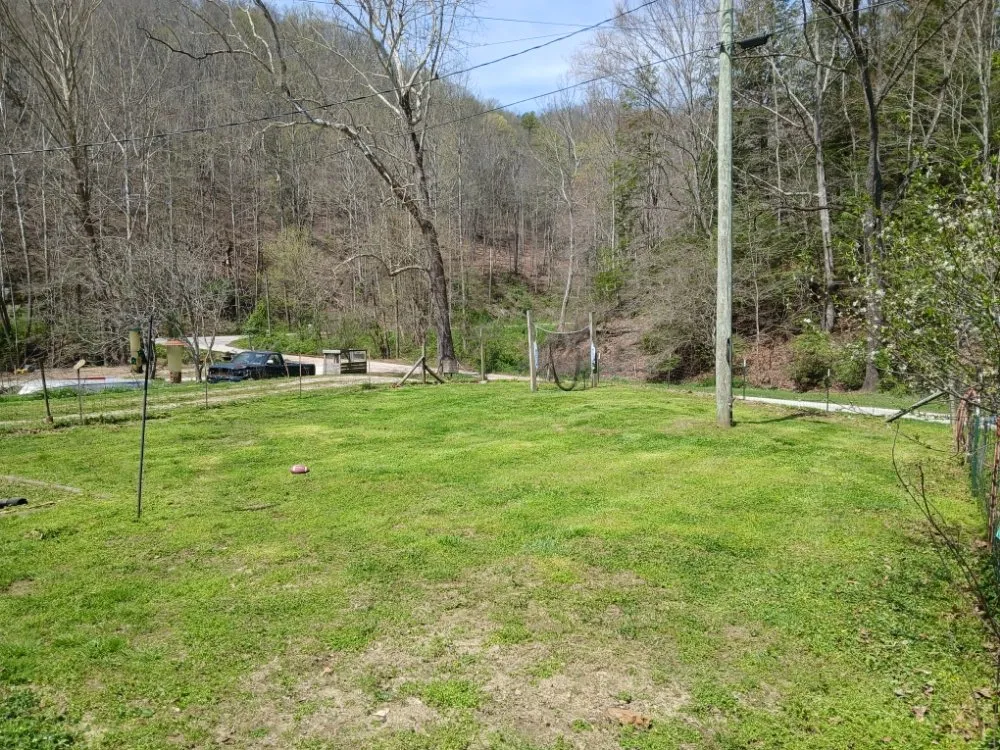 Expert lawn care service in Jackson, KY - Wildcat Lawn Management