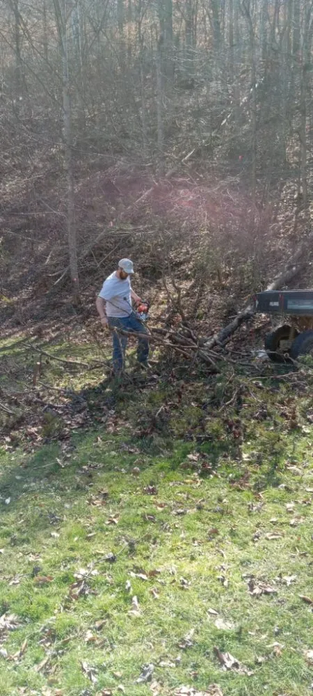 Reliable residential landscaping experts serving Jackson, KY - Wildcat Lawn Management