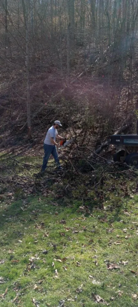 Reliable yard cleanup service experts serving Jackson, KY - Wildcat Lawn Management