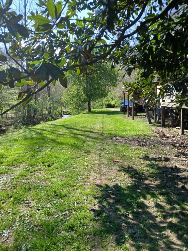 Reliable landscaping services in Jackson, KY by Wildcat Lawn Management