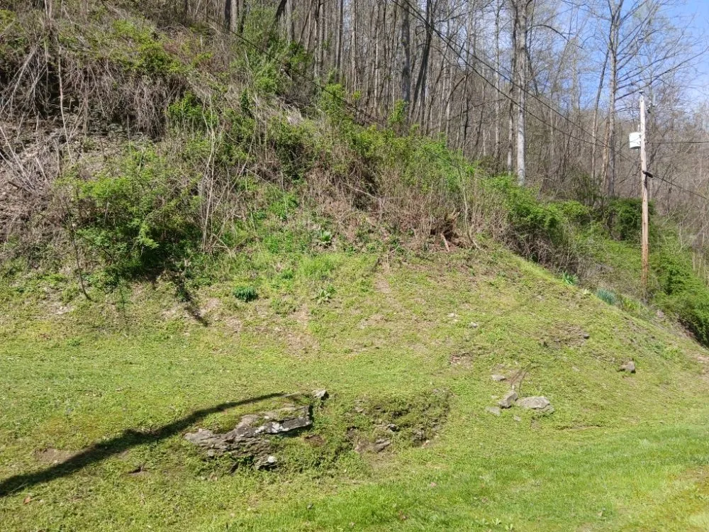 Expert lawn care service experts serving Jackson, KY - Wildcat Lawn Management