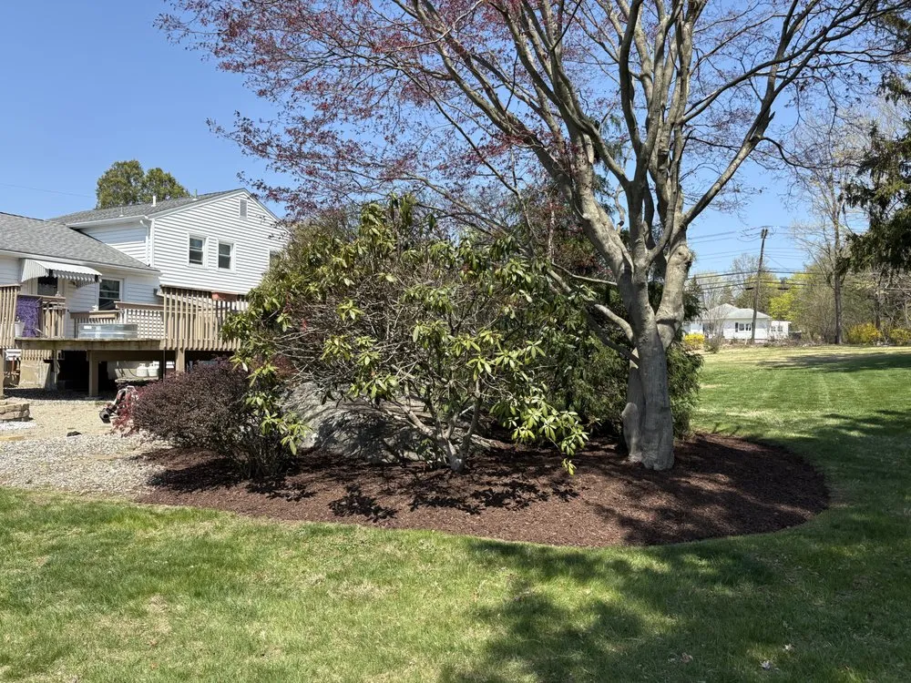 Reliable yard maintenance experts serving Seymour, CT - Wildcat Property Services