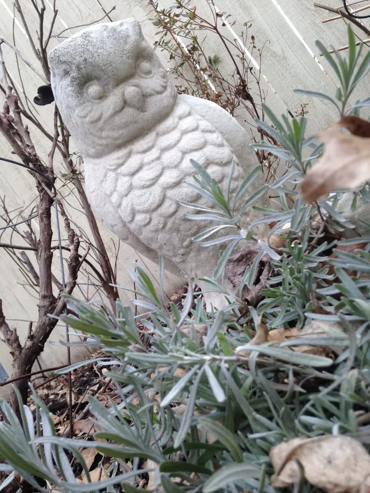 Local landscape installation experts serving Evansville, IN - Wilde Horticulture