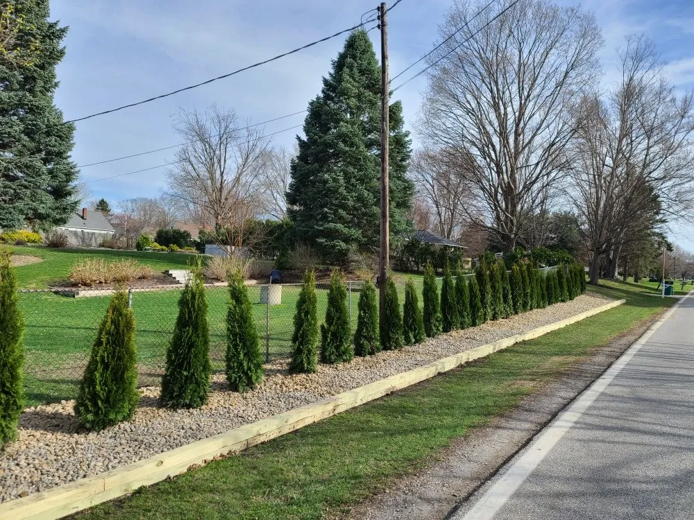 Reliable landscape design in Willoughby, OH - Wilde Property Services