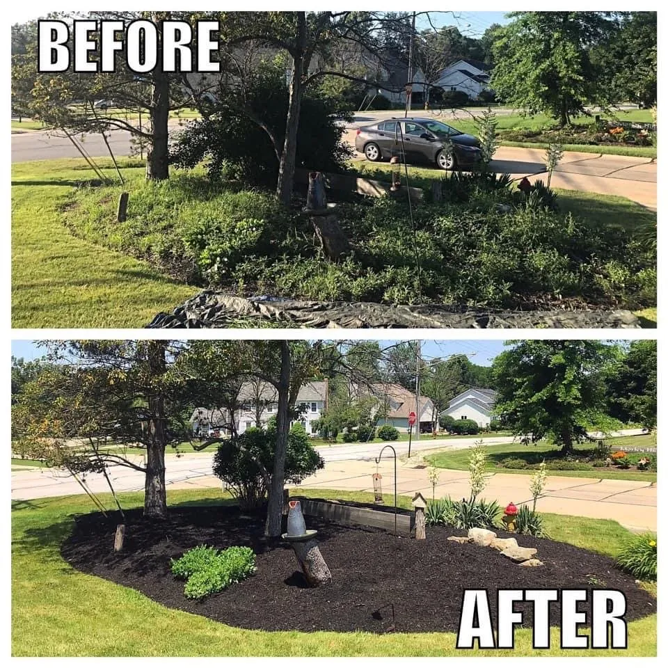 Affordable yard cleanup service in Willoughby, OH - Wilde Property Services