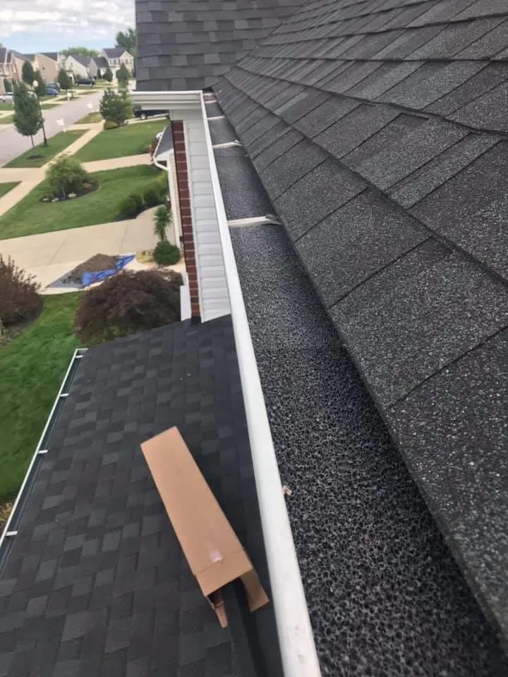 Expert yard cleanup service experts serving Willoughby, OH - Wilde Property Services