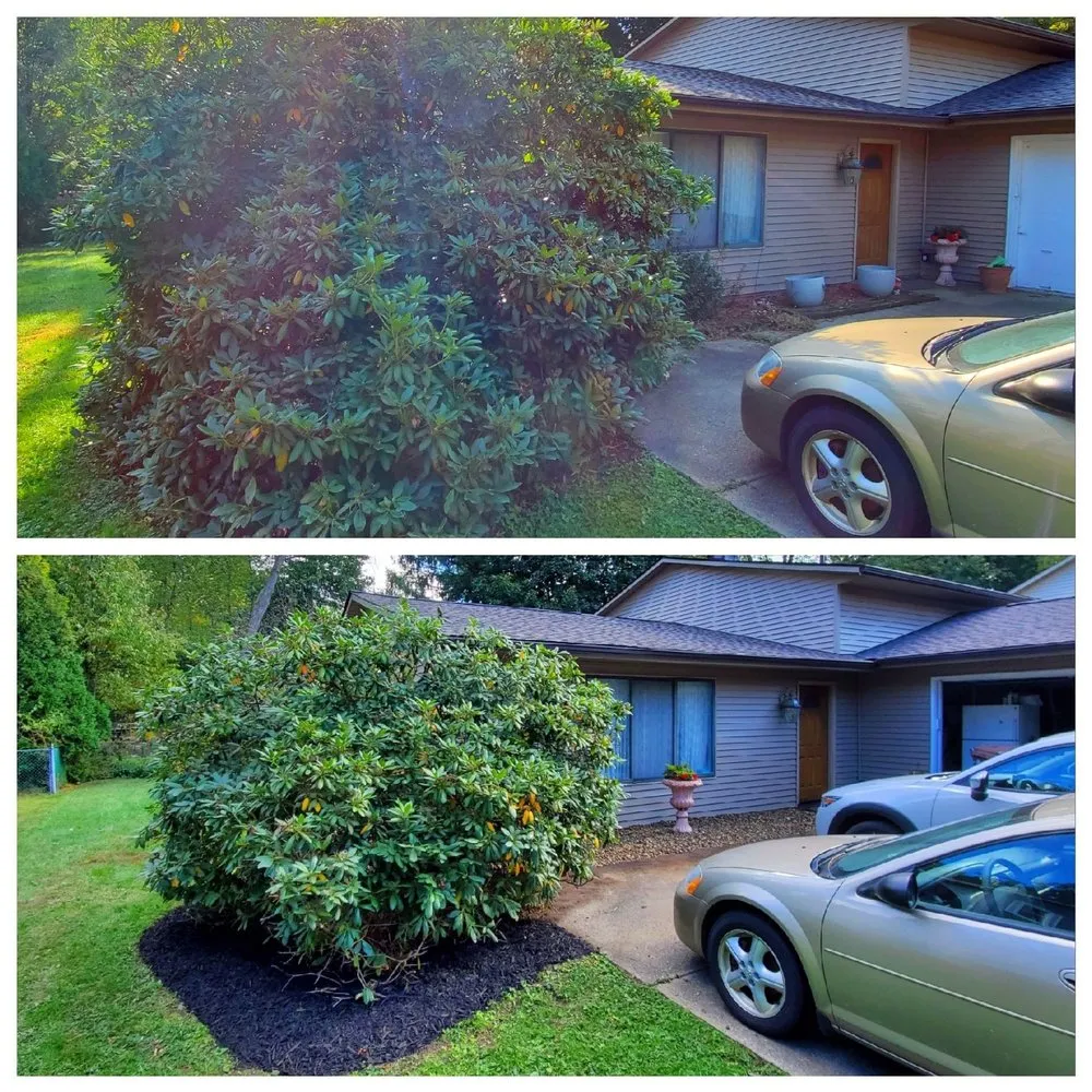 Affordable lawn mowing service for residential properties in Willoughby, OH by Wilde Property Services