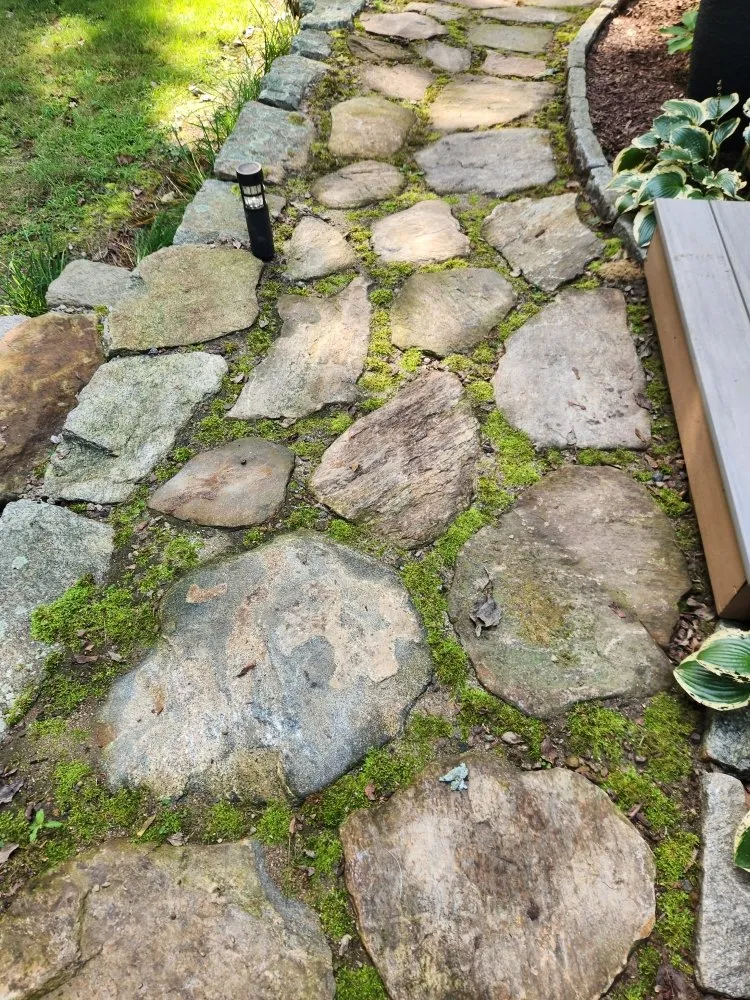 Local lawn care service experts serving Groton, CT - Wilder Gardens