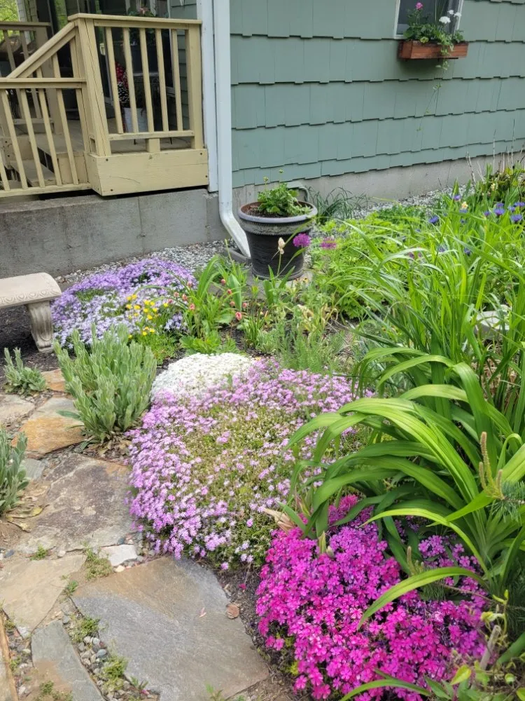 Expert yard maintenance in Groton, CT - Wilder Gardens