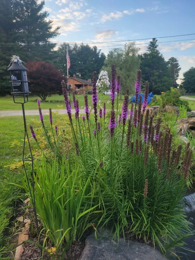 Trusted yard cleanup service in Groton, CT by Wilder Gardens