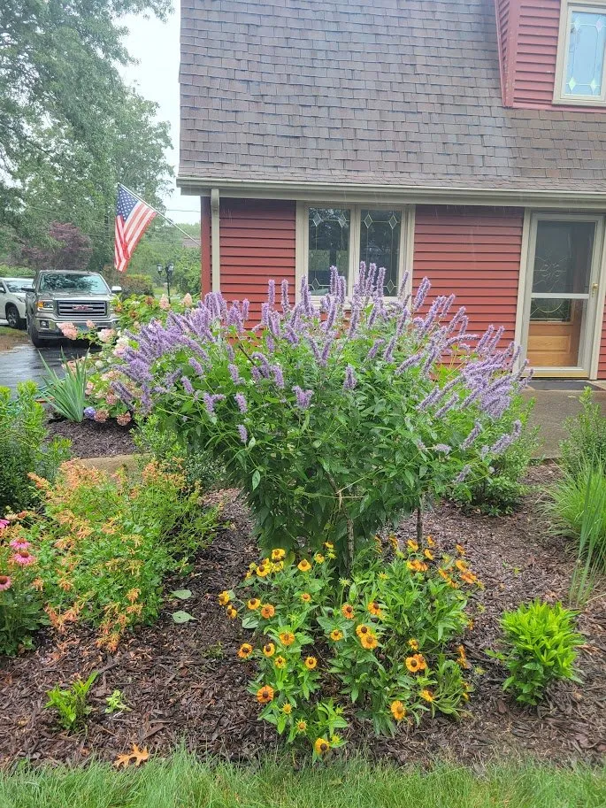 Custom residential landscaping in Groton, CT - Wilder Gardens