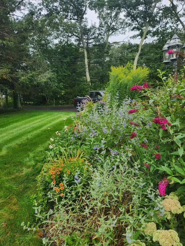 Affordable outdoor landscaping experts serving Groton, CT - Wilder Gardens