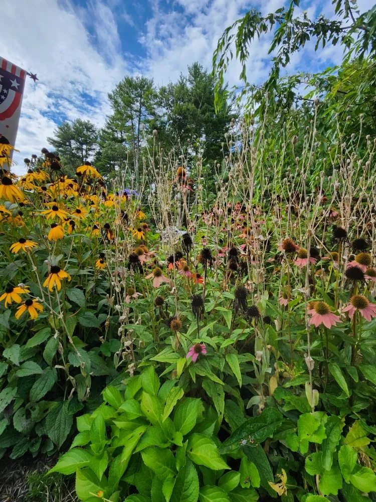 Trusted garden landscaping experts serving Groton, CT - Wilder Gardens