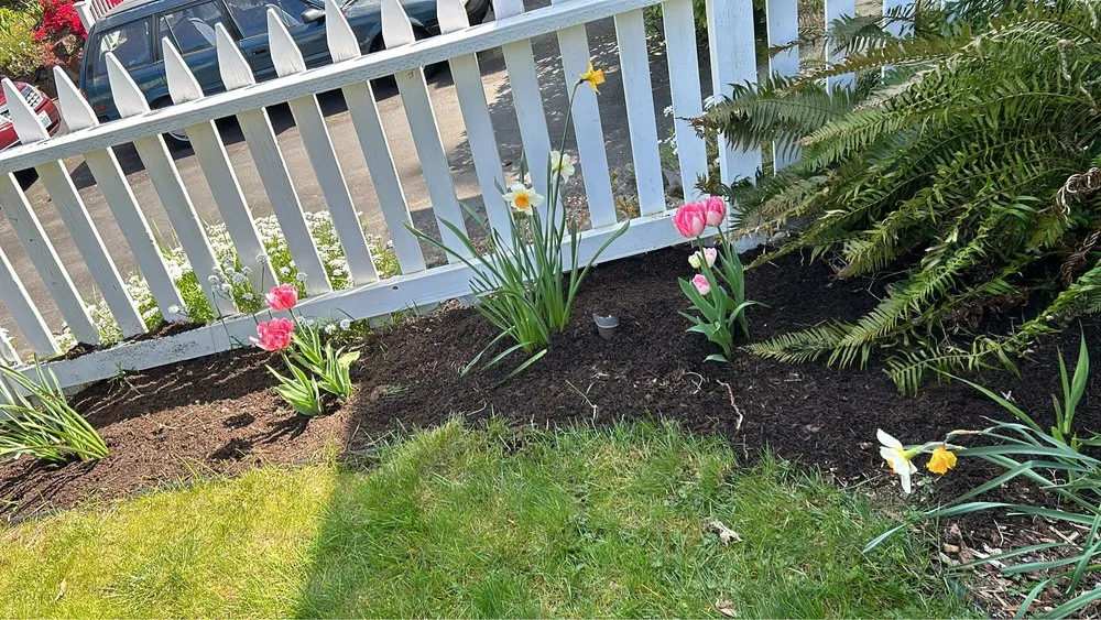 Top-rated yard cleanup service for beautiful yards in Bellevue, WA by Wilder Landscaping